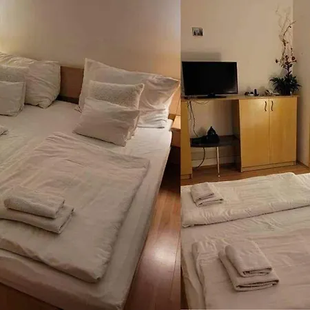 Sunsine 잘라카로쉬