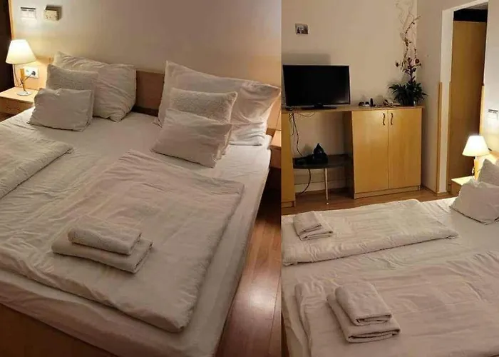 Sunsine 잘라카로쉬